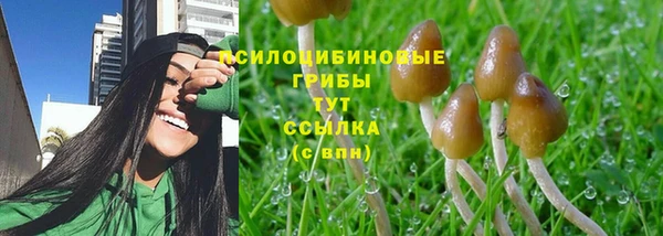 таблы Осташков