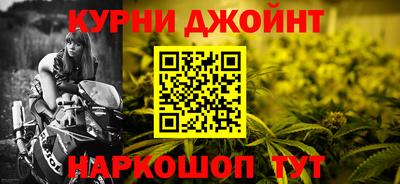 амф Гусев
