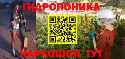 амф Гусев