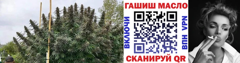 ТГК THC oil  наркотики  Усолье-Сибирское 