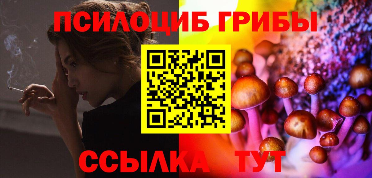 Псилоцибиновые грибы Psilocybe Усолье-Сибирское