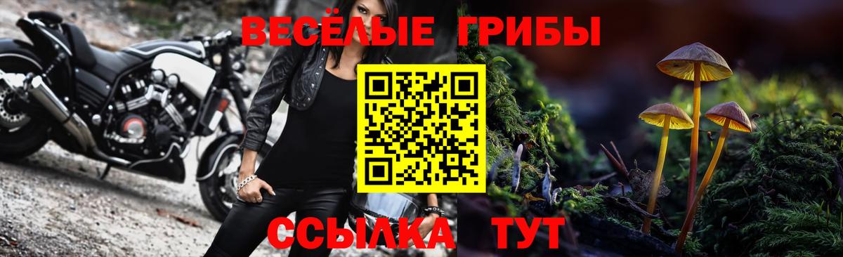 Галлюциногенные грибы Psilocybine cubensis Усолье-Сибирское